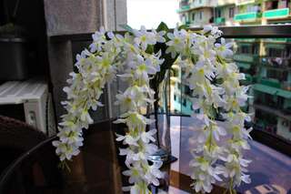 Отель Orbi Sea Tower in Batumi Батуми Стандартный номер-студио-7