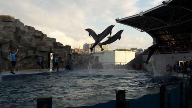 Отель Orbi Sea Tower in Batumi Батуми-24